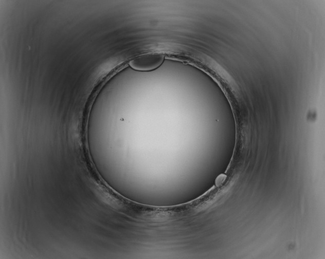 X0000103270930200809051503