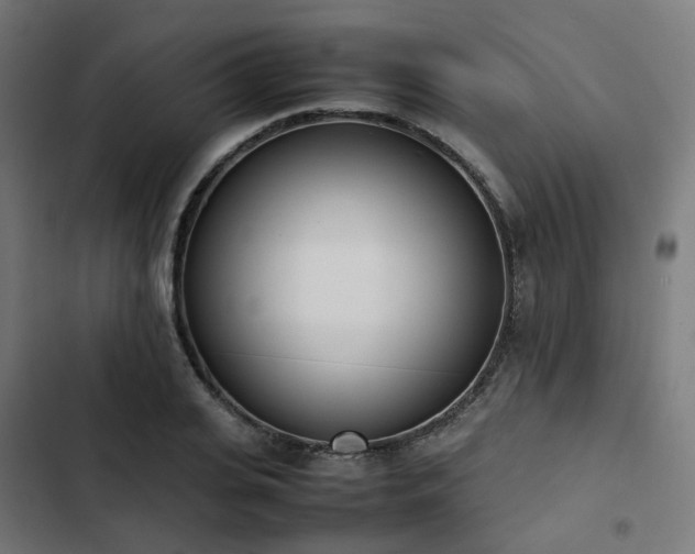 X0000103270935200809051503