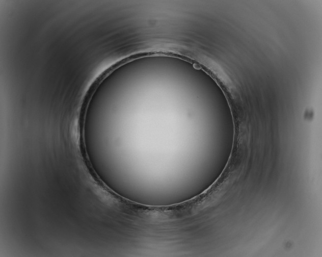 X0000103270936200809051503