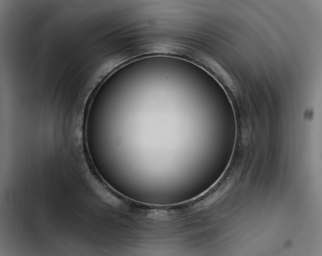 X0000103270938200809051503