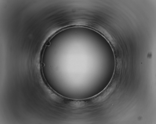 X0000103270939200809051503