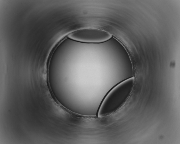 X0000103270940200809051503