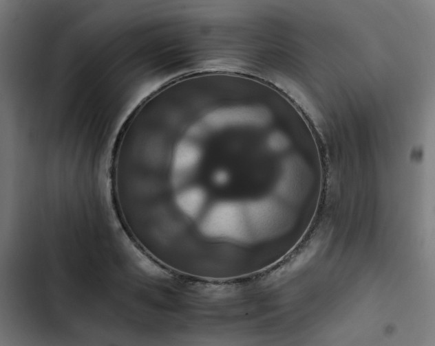 X0000103270941200809051503