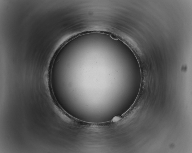 X0000103270942200809051503