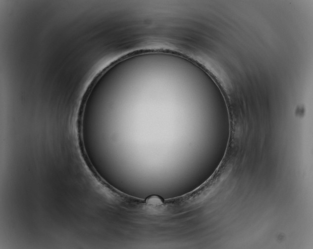 X0000103270943200809051504