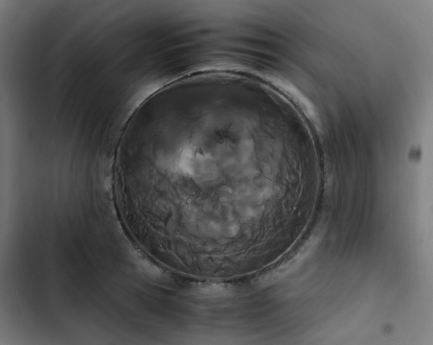 X0000103270945200809051504