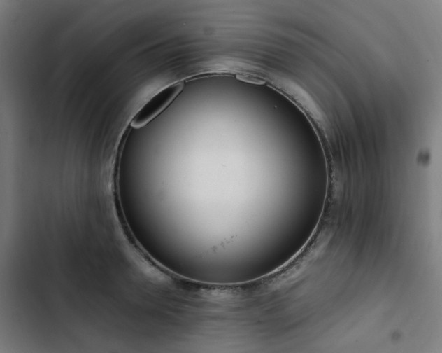 X0000103270946200809051504