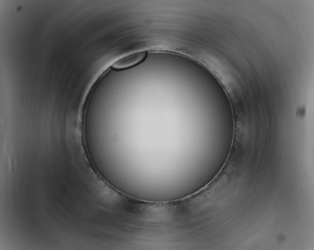 X0000103270948200809051504