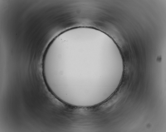 X0000103270950200809051504
