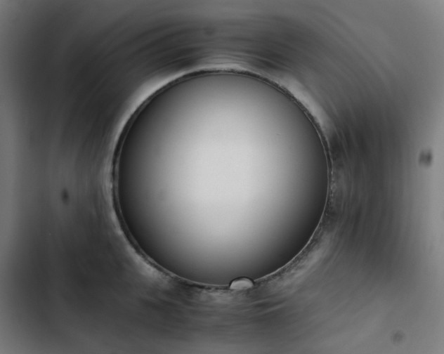X0000103270951200809051504