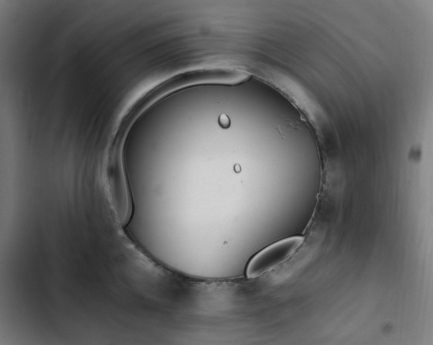 X0000103270952200809051504