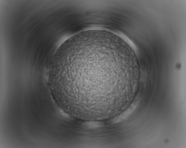X0000103270953200809051504