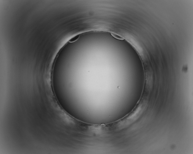 X0000103270956200809051504