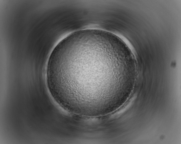 X0000103270957200809051504