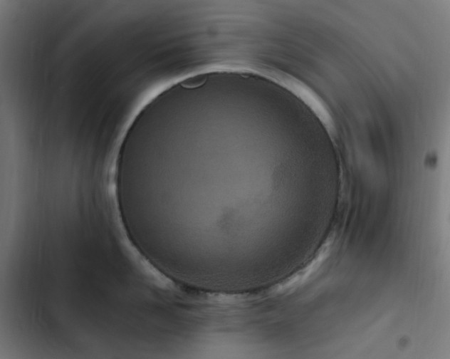 X0000103270958200809051504