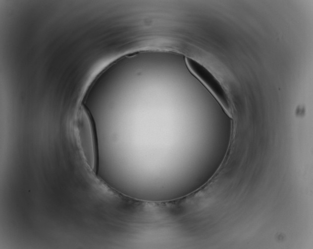 X0000103270960200809051504