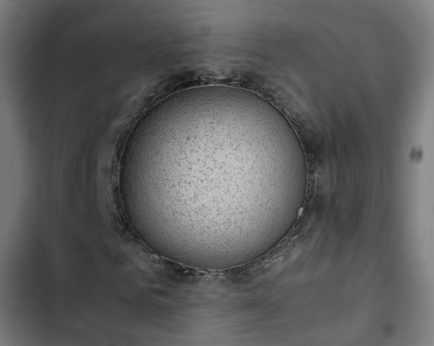 X0000103270961200809051503