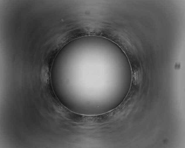 X0000103270963200809051503