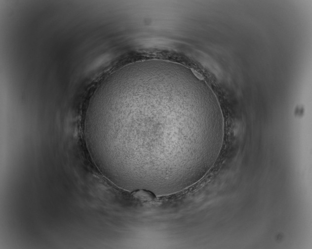 X0000103270965200809051503