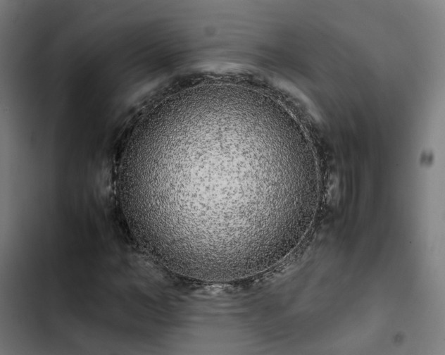 X0000103270966200809051503