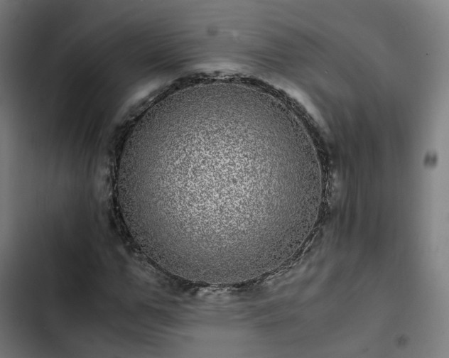 X0000103270967200809051503