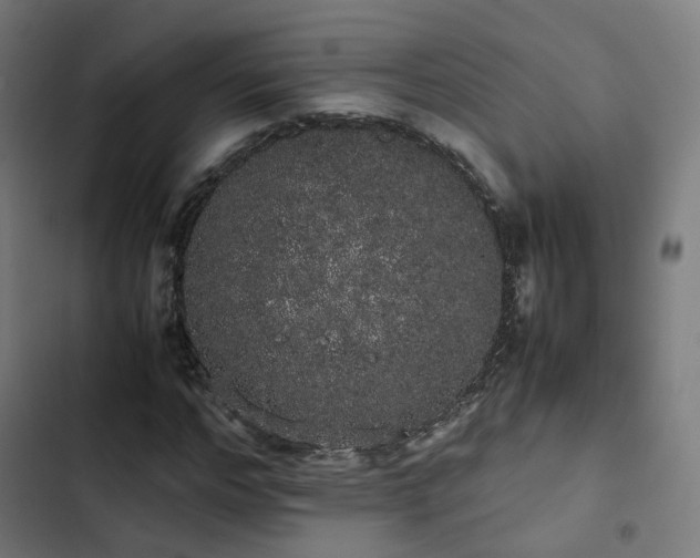 X0000103270968200809051503