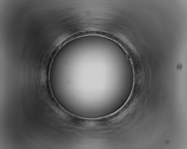 X0000103270969200809051503
