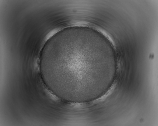 X0000103270970200809051503