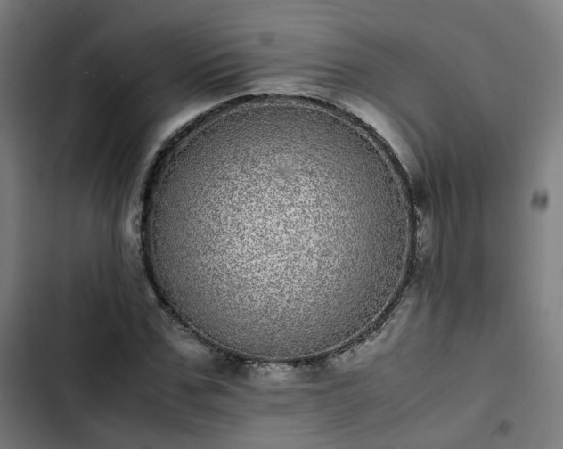 X0000103270971200809051503
