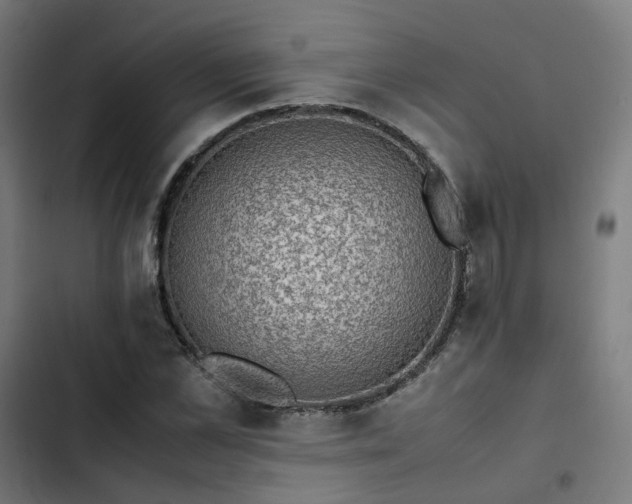 X0000103270973200809051503