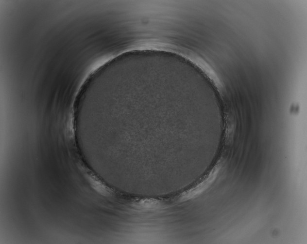 X0000103270974200809051503