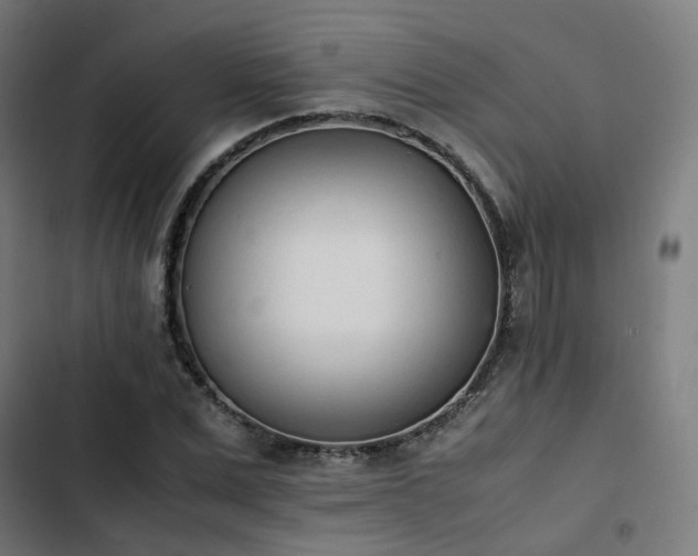 X0000103270975200809051503