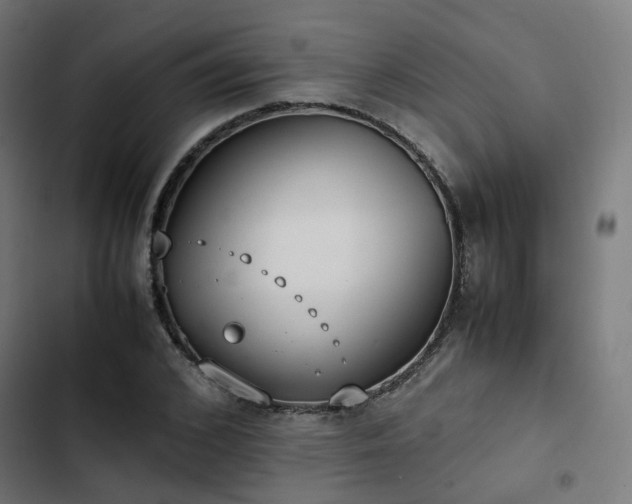 X0000103270976200809051503
