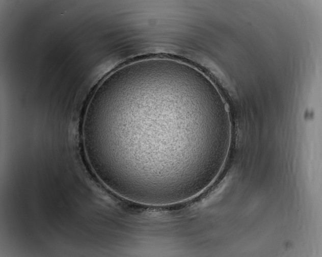 X0000103270977200809051503