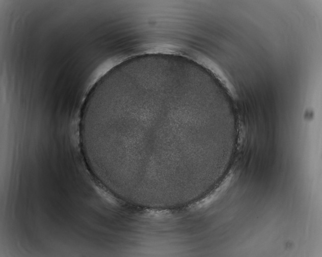 X0000103270978200809051503