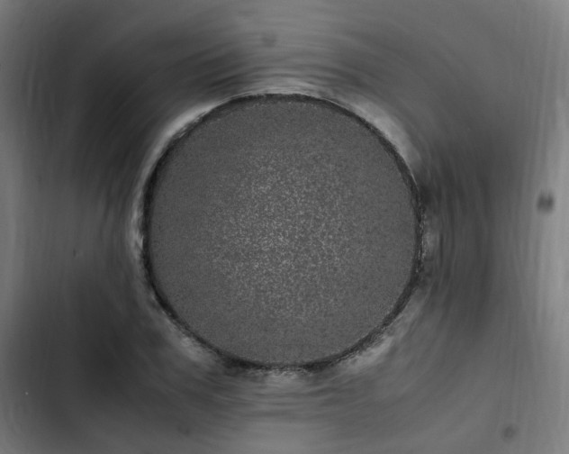 X0000103270979200809051503