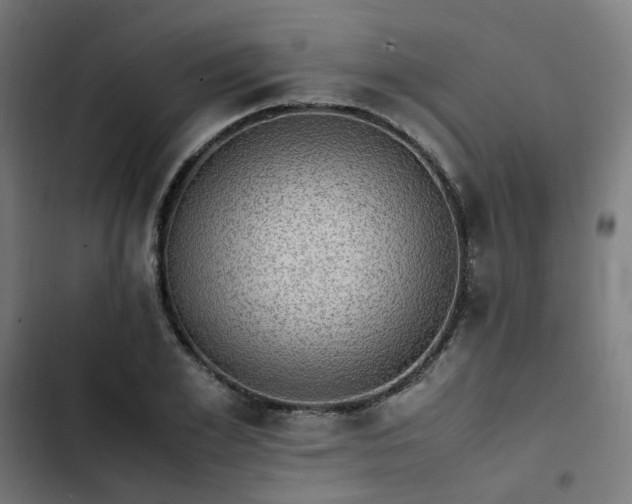 X0000103270981200809051503