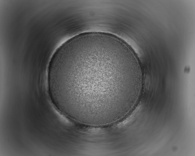 X0000103270982200809051503