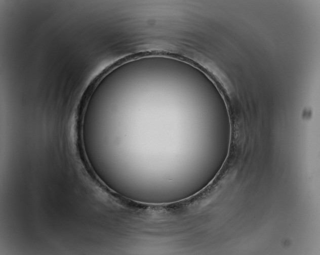 X0000103270983200809051503
