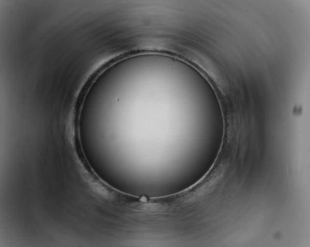 X0000103270984200809051503