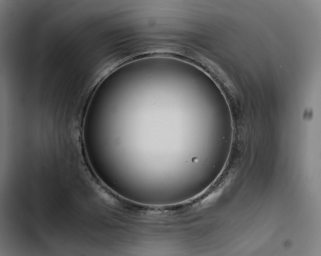 X0000103270985200809051503