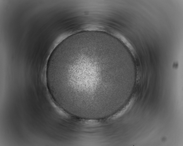 X0000103270986200809051503