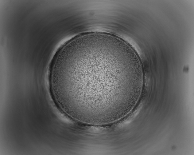 X0000103270987200809051503