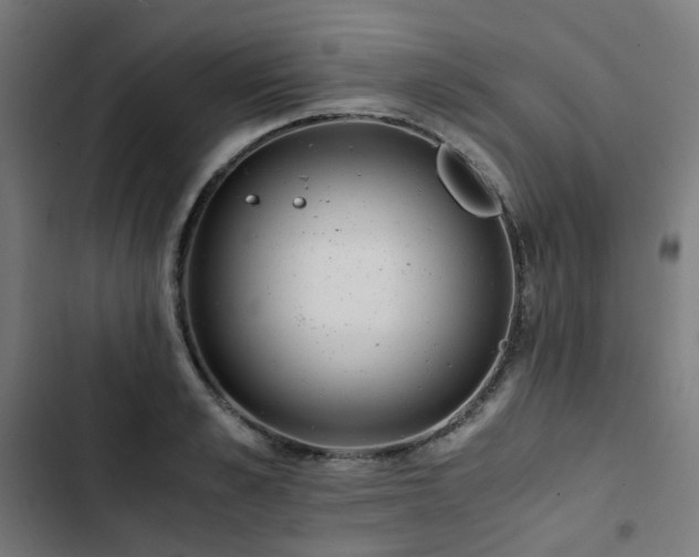 X0000103270989200809051503