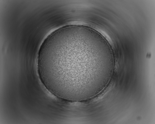 X0000103270992200809051503