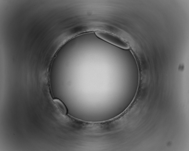 X0000103270993200809051503