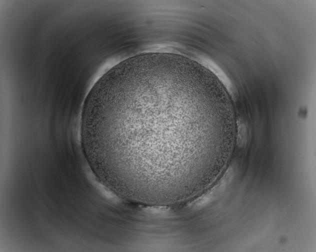 X0000103270994200809051503