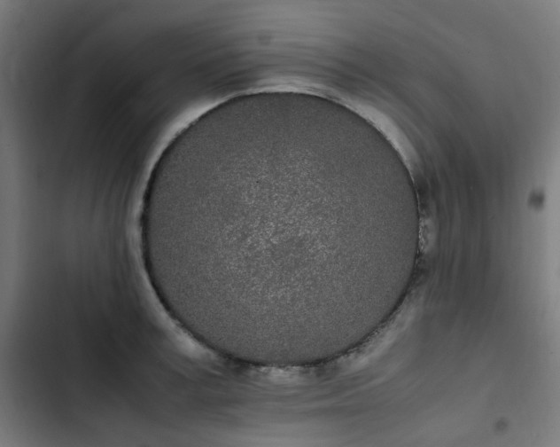 X0000103270995200809051503