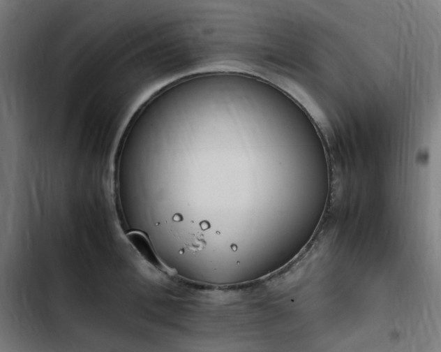X0000103270996200809051503