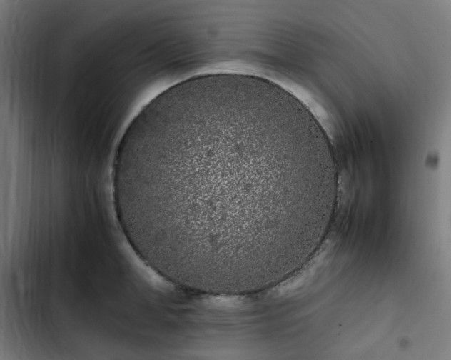 X0000103270998200809051502